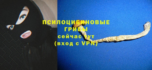 дурь Зеленокумск